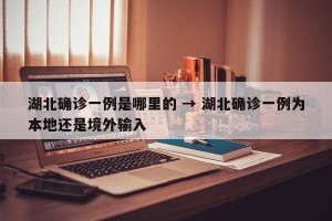 湖北确诊一例是哪里的 → 湖北确诊一例为本地还是境外输入