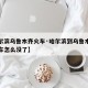 【哈尔滨乌鲁木齐火车·哈尔滨到乌鲁木齐直达火车怎么没了】