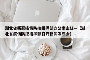 湖北省新冠疫情防控指挥部办公室主任—（湖北省疫情防控指挥部召开新闻发布会）